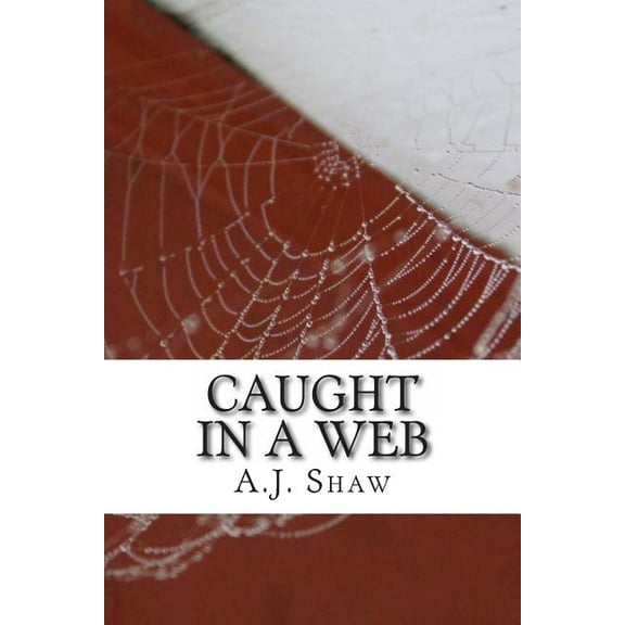 Caught In A Web (Paperback)