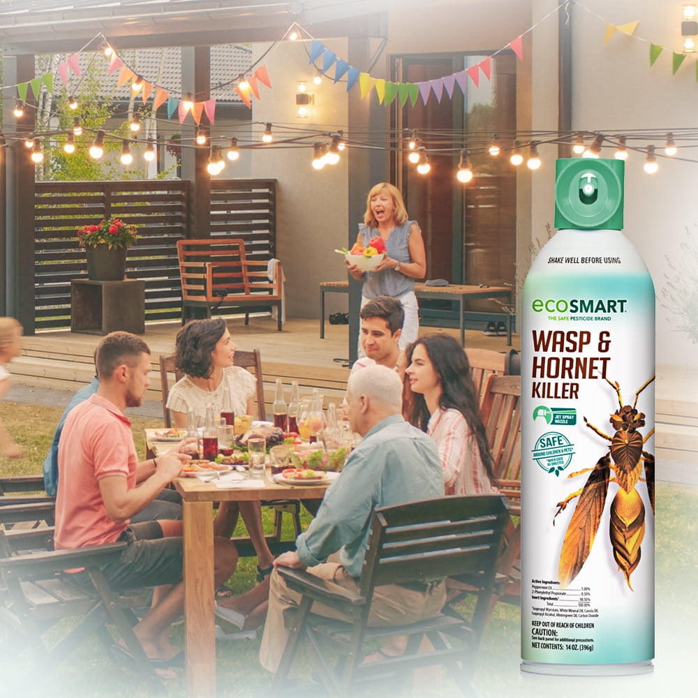 EcoSmart Natural, Plant-Based Essential Oil Wasp and Hornet Killer, 14 Ounce Aerosol Spray Can (Pack of 2)