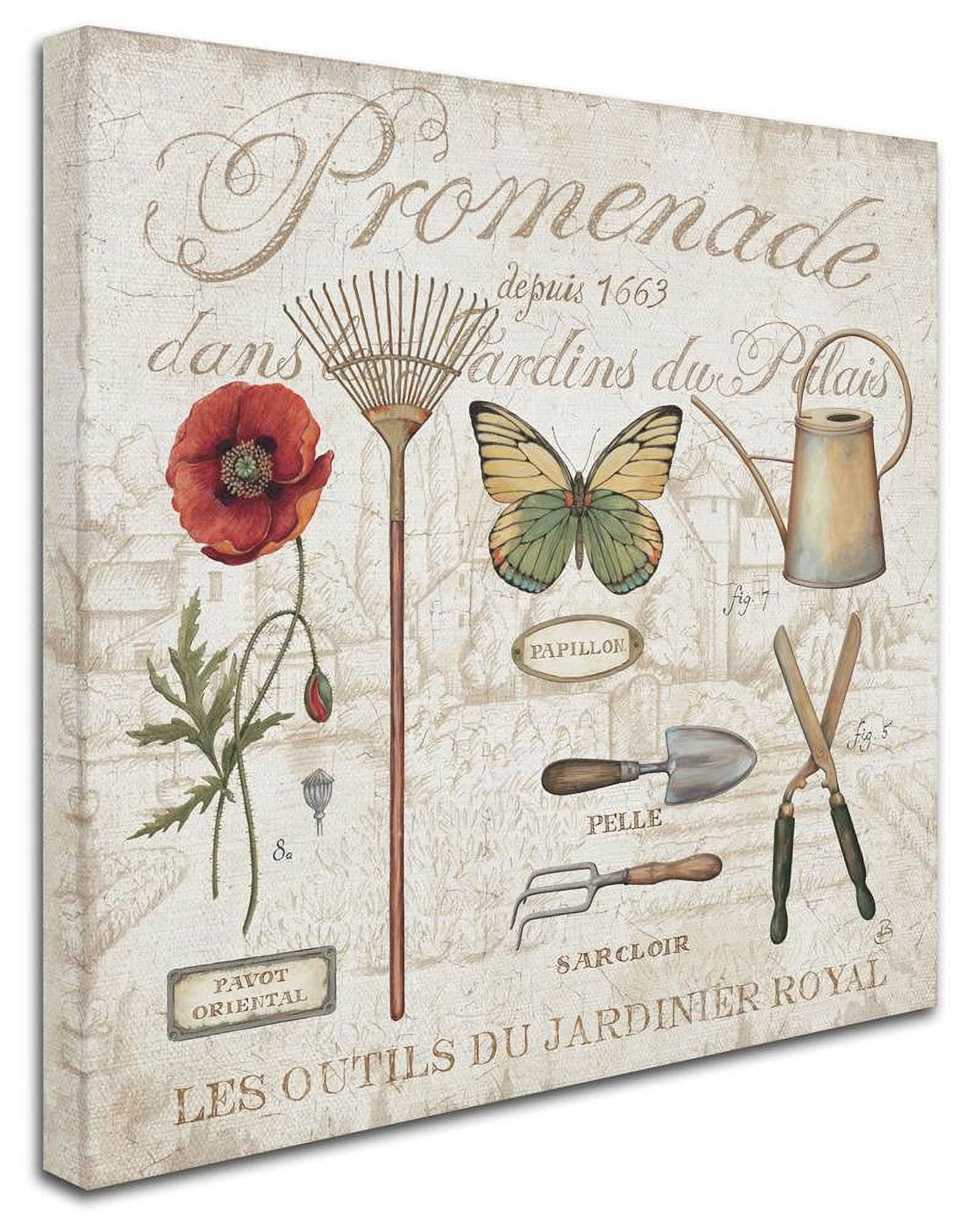 Trademark Fine Art "Royal Garden II" Canvas Art by Daphne Brissonnet