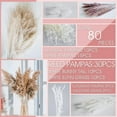 thumbnail image 5 of 80 Pcs Natural Dried Pampas Grass Bonquet Boho Home Decor Bouquet Dried Reed Flowers for Wedding Floral Arrangements Wall Bathroom Décor, 5 of 5