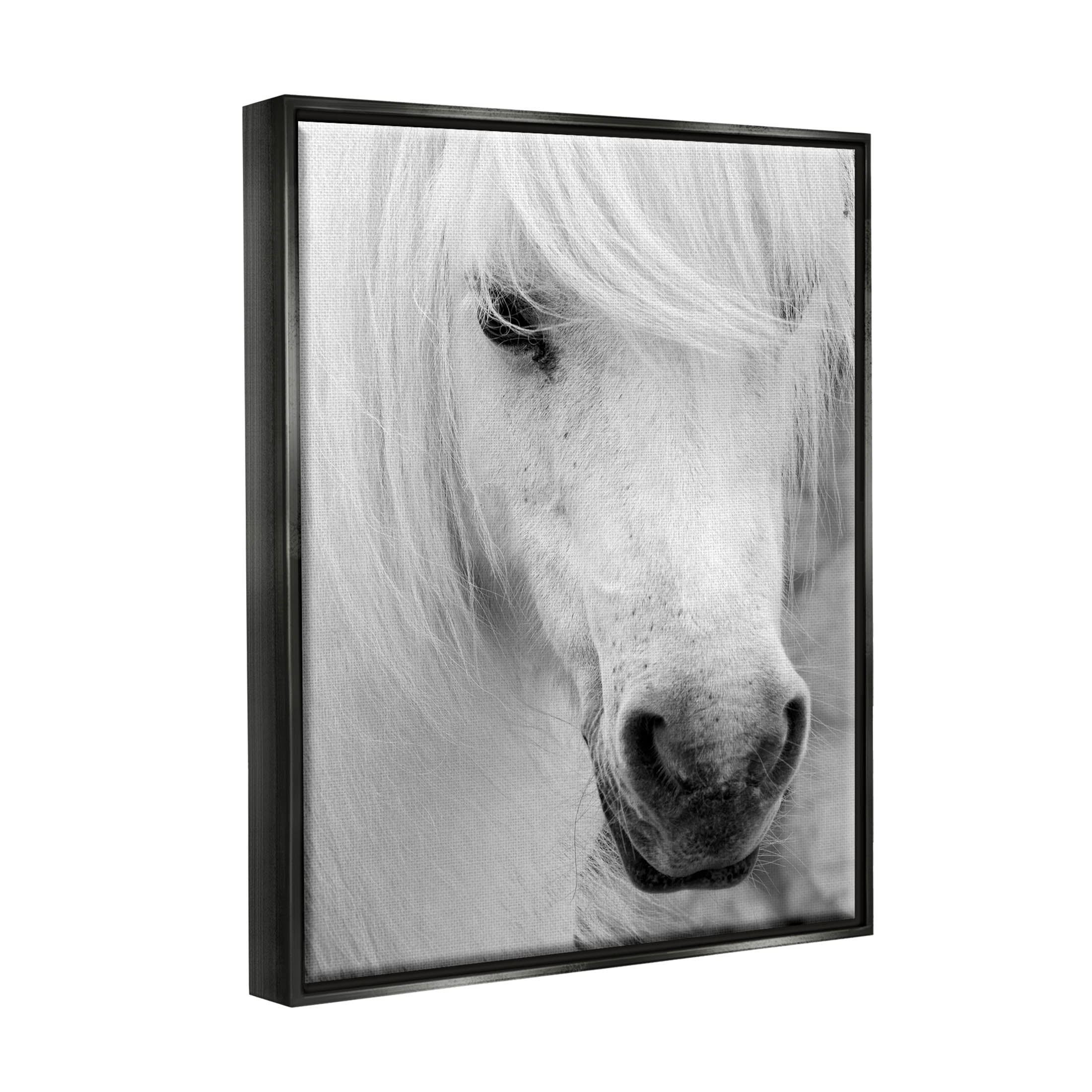 Elegant White Horse Stallion Animals & Insects Photograph Jet Black Framed Art Print Wall Art