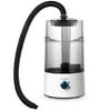 Miumaeov 4L Reptile Humidifier Pet Humidifier Reptile Fogger w/Extension Tube for Amphibians
