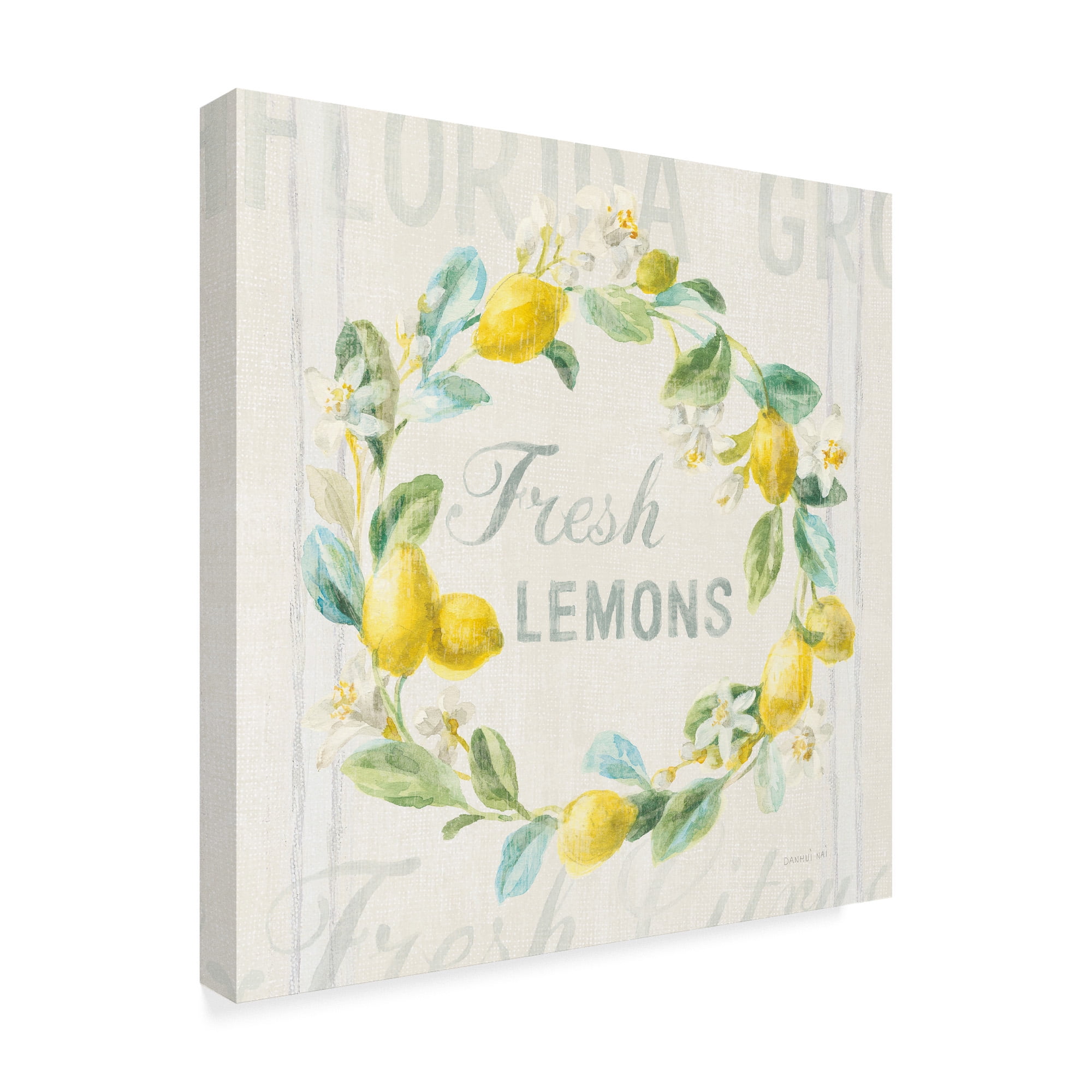 Trademark Fine Art 'Floursack Lemon V' Canvas Art by Danhui Nai