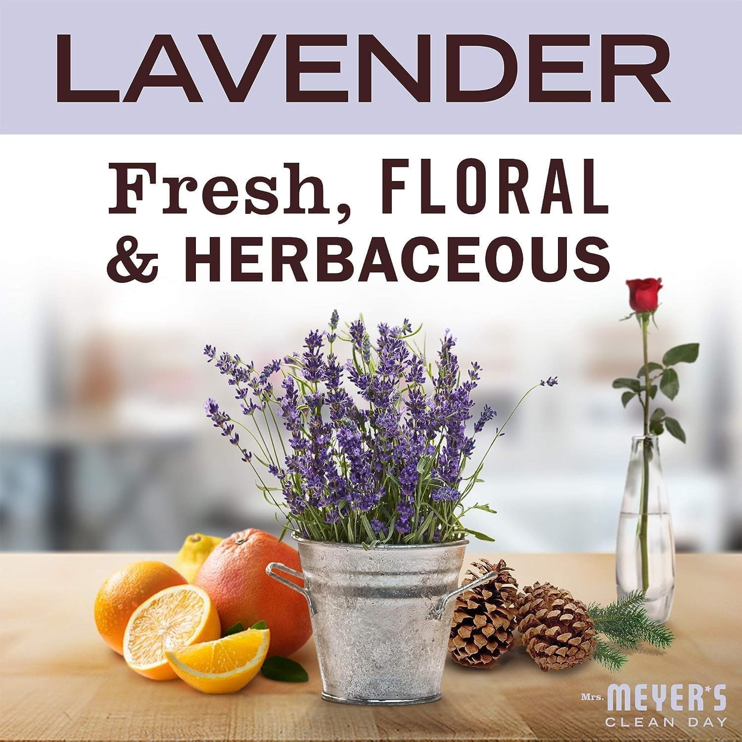 Mrs. Meyer’s Clean Day Lavender Laundry Detergent Concentrated Loads Per Bottle 64 Fl Oz (Pack of 5)