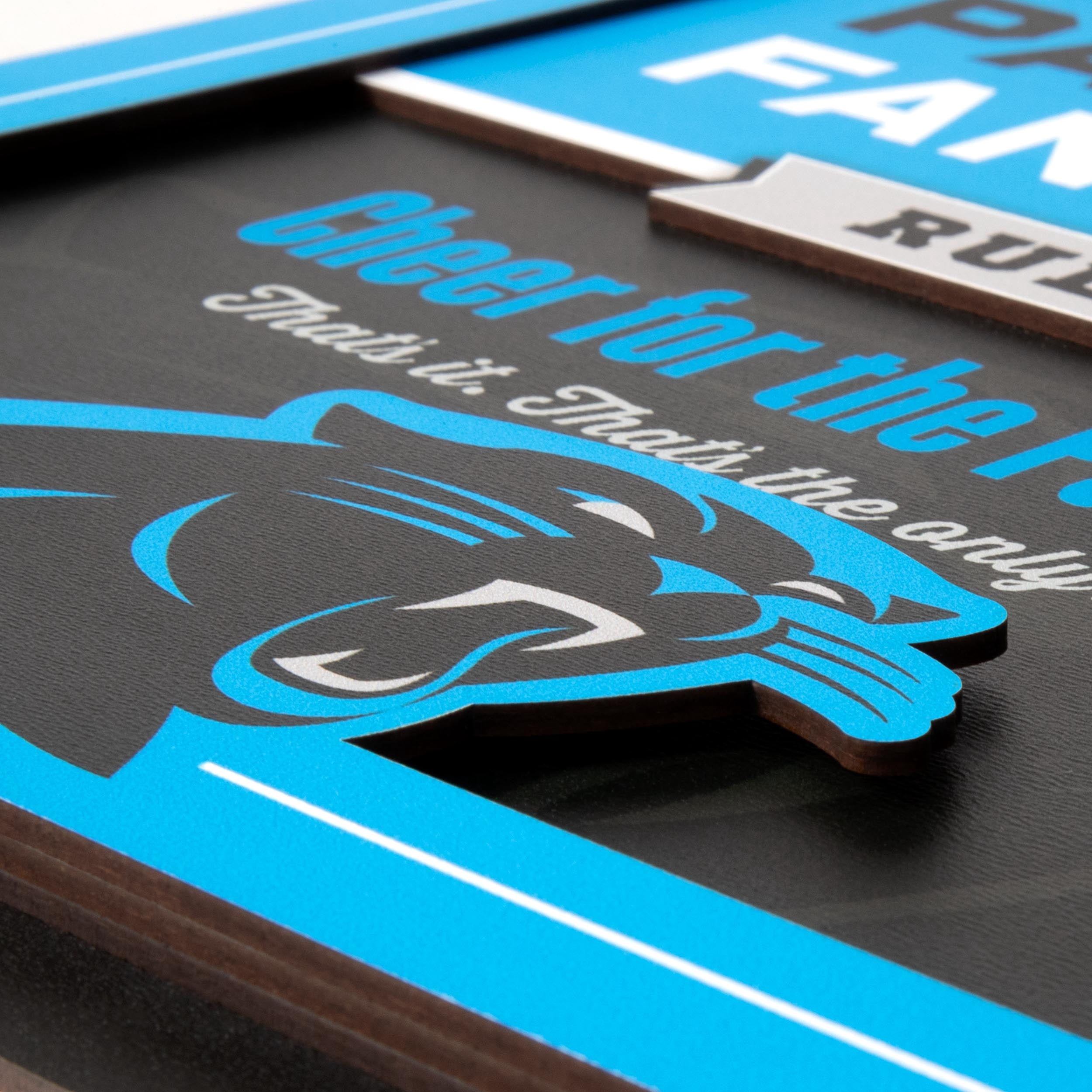 YouTheFan NFL Carolina Panthers Fan Rules 3D Wall Art