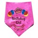thumbnail image 4 of Falda de cumpleaños para perros y gatos, fiesta, bandera, bufanda, sombrero, accesorios de decoración MFZFUKR CPB-US-FXT69-4, 4 of 5