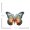 12.5*16.5cm, variant on Decorative Items Wall Decor Garden Home Indoor Metal Solid Metal Material Strong Wall Art Replaceable Brand New