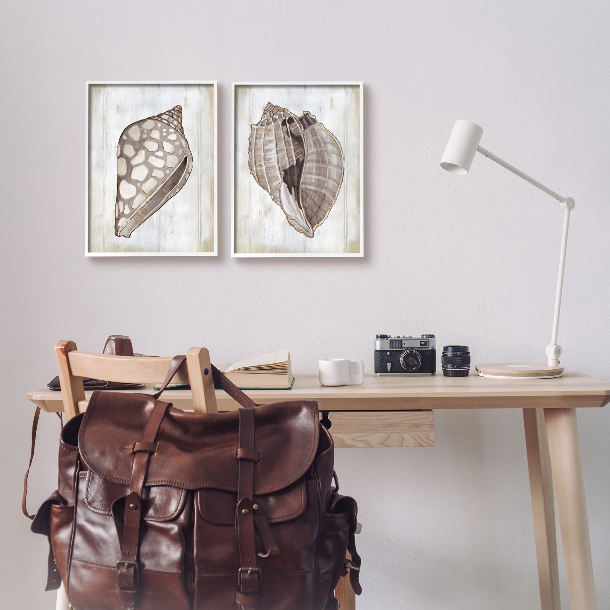 Stupell Industries Spotted Seashell Rustic Marine Life Beach Sign Graphic Art White Framed Art Print Wall Art, Set of 2, Design by Carol Robinson