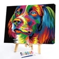 thumbnail image 2 of Wdftyju Kit de pintura por números sin marco DIY perro de color distraído obra de arte pintada a mano Wdftyju 3zq7yr6qw9ts6xd1, 2 of 9