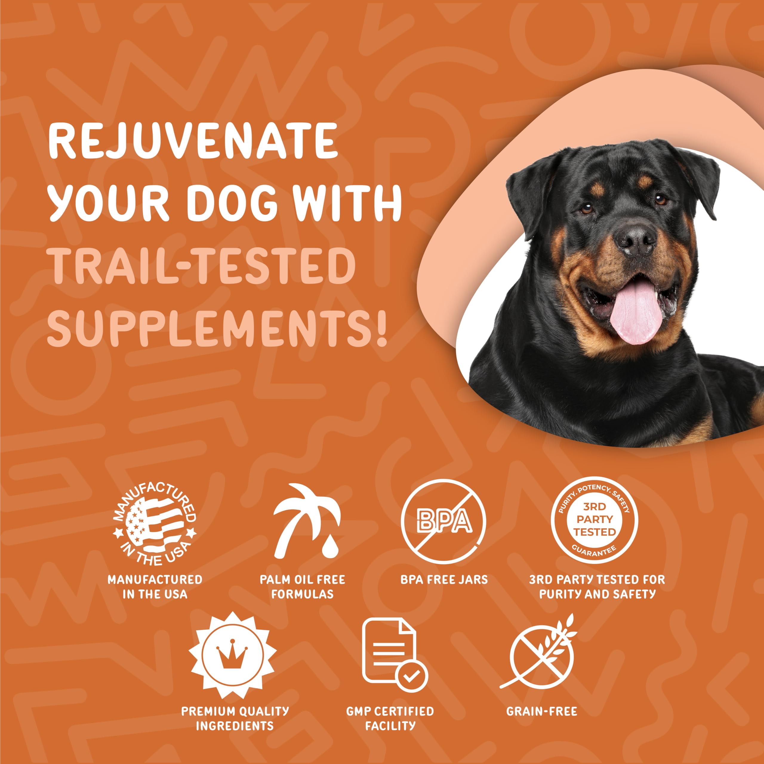 waggedy Hip and Joint Chews for Dogs with Turmeric, Glucosamine & MSM (120 Chews)
