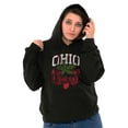 thumbnail image 3 of Ohio Stenciled Buckeye Leaf OH Cool Unisex Plus Fleece Graphic Hoodie Brisco Brands 2X, 3 of 5
