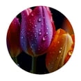 thumbnail image 4 of WYYP Flowers Water Droplets Round Table Cover 100% Polyester Fiber Tablecloths White, 4 of 8