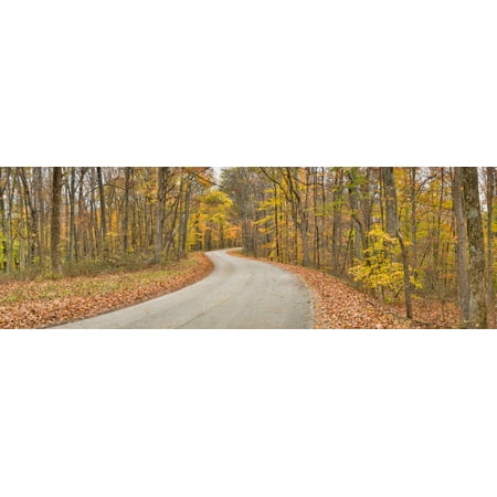 Road passing through a forest Brown County State Park Brown County Indiana USA Canvas Art - Panoramic Images (6 x (Best Restaurants In Brown County Indiana)