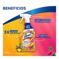 thumbnail image 3 of Limpiador Desinfectante Multiusos Lysol Mango 650ml, 3 of 4