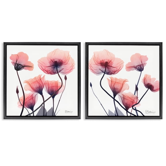 Stupell Industries Various Faded Pink Flowers Floral Painting Black Floater Framed Canvas Art Print Wall Art, 18 x 18, Set of 2