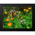 thumbnail image 2 of Grayscale 14x12 Black Modern Framed Museum Art Print Titled - Orange Poppy Nest I, 2 of 5