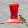thumbnail image 4 of Perky-Pet 24 oz Oriole Feeder, 4 of 10