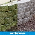 thumbnail image 2 of Wet & Forget Moss, Mold, Mildew, & Algae Stain Remover Multi-Surface Outdoor Cleaner Concentrate, Original, 128 Fluid Ounces, 2 of 3