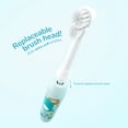 thumbnail image 5 of Ordo Kids Battery Toothbrush with Oscillating Technology, Squishmallows Joelle Design, 5 of 6
