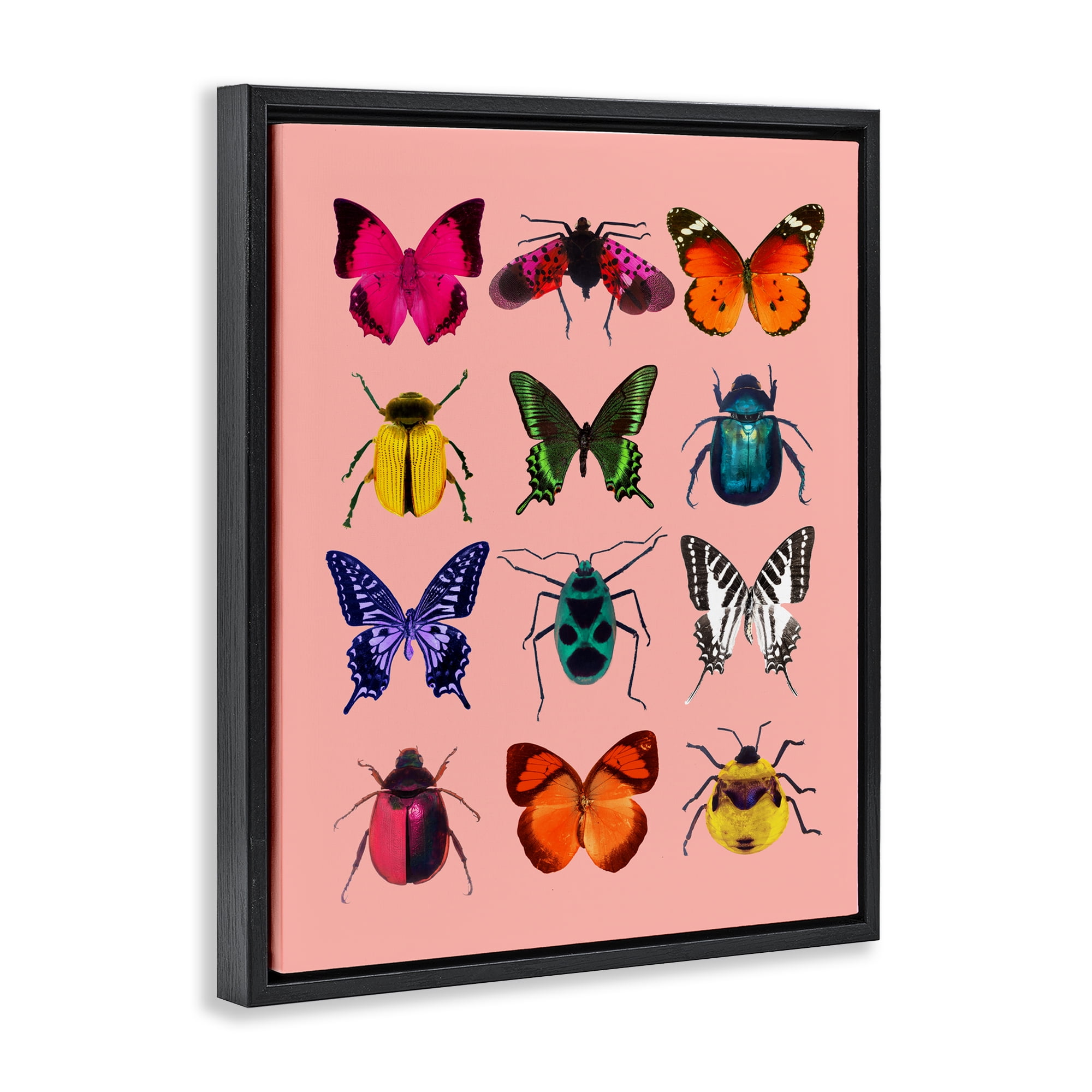 Colorful Bug Species on Pink Black Framed Floater Canvas Wall Art, design by LISH Creative