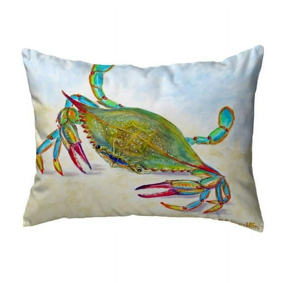 Betsy Drake NC1026 16 x 20 in. More Than Blue Non-Corded Indoor & Outdoor Pillow