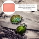 thumbnail image 3 of Reptil grande agua para servir plato de tortuga de terrario Tazón de comida multifuncional tazón de alimentación de mascotas, 3 of 6