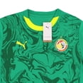 thumbnail image 2 of Jersey Playera Puma de la Seleccion de Senegal Para Hombre Talla Grande (L), 2 of 4