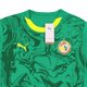 thumbnail image 2 of Jersey Playera Puma de la Seleccion de Senegal Para Hombre Talla Grande (L), 2 of 4