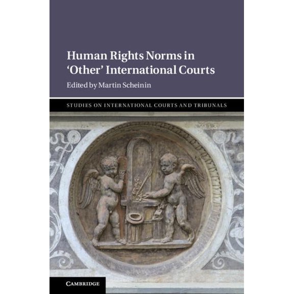 Studies on International Courts and Trib Human Rights Norms in 'Other' International Courts, (Hardcover)