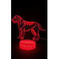 thumbnail image 4 of Dog  3D Night Light Multi Color Changing Illusion Lamp for Children Kids Girls Boys Animals Fan Gift Christmas Birthday Best Gifts, 4 of 5