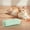 Green-Free Size/GN, variant on Tgbvmt Soft Catnip Cat Pillow Interactive Toy Cozy Chew Teething Boredom Relief Hunting Instinct Stimulation for Indoor Kittens Adult Cats Daily Play Pat Pounce Pet Toy Decoration Decor