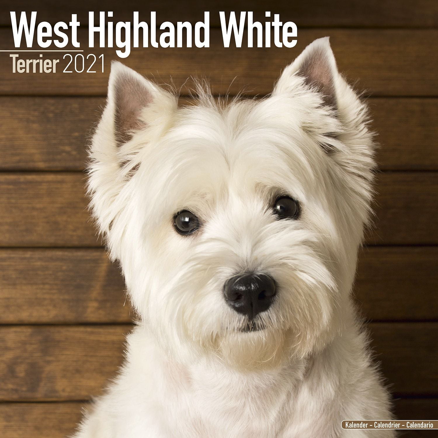 west-highland-terrier-calendar-2021-west-highland-terrier-dog-breed