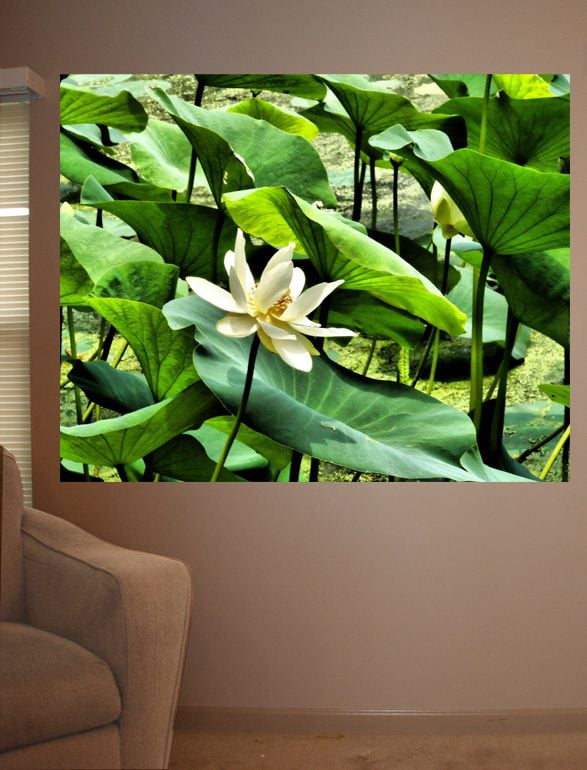 Wallhogs Batie Pond Flower Poster Wall Mural Walmart Com Walmart Com