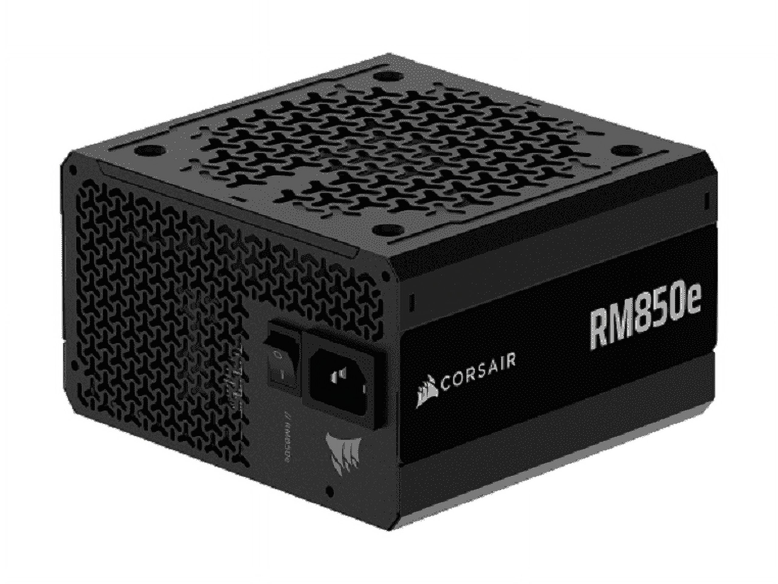 マリゾウ① 20274-DV-PAC-Large.jpg?v=