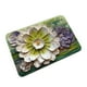 thumbnail image 2 of Ganfancp Alfombrilla Absorbente de Tierra de Diatomeas Antideslizante de Secado Rápido para El Baño de Flores Ofertas Del Día Sólo En Línea 1X Alfombrilla, 2 of 6
