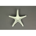 thumbnail image 6 of J.D. Yeatts 6.5 inch Coastal Cast Iron Starfish Shelf/ Table Sculptures (Set of 4), 6 of 6