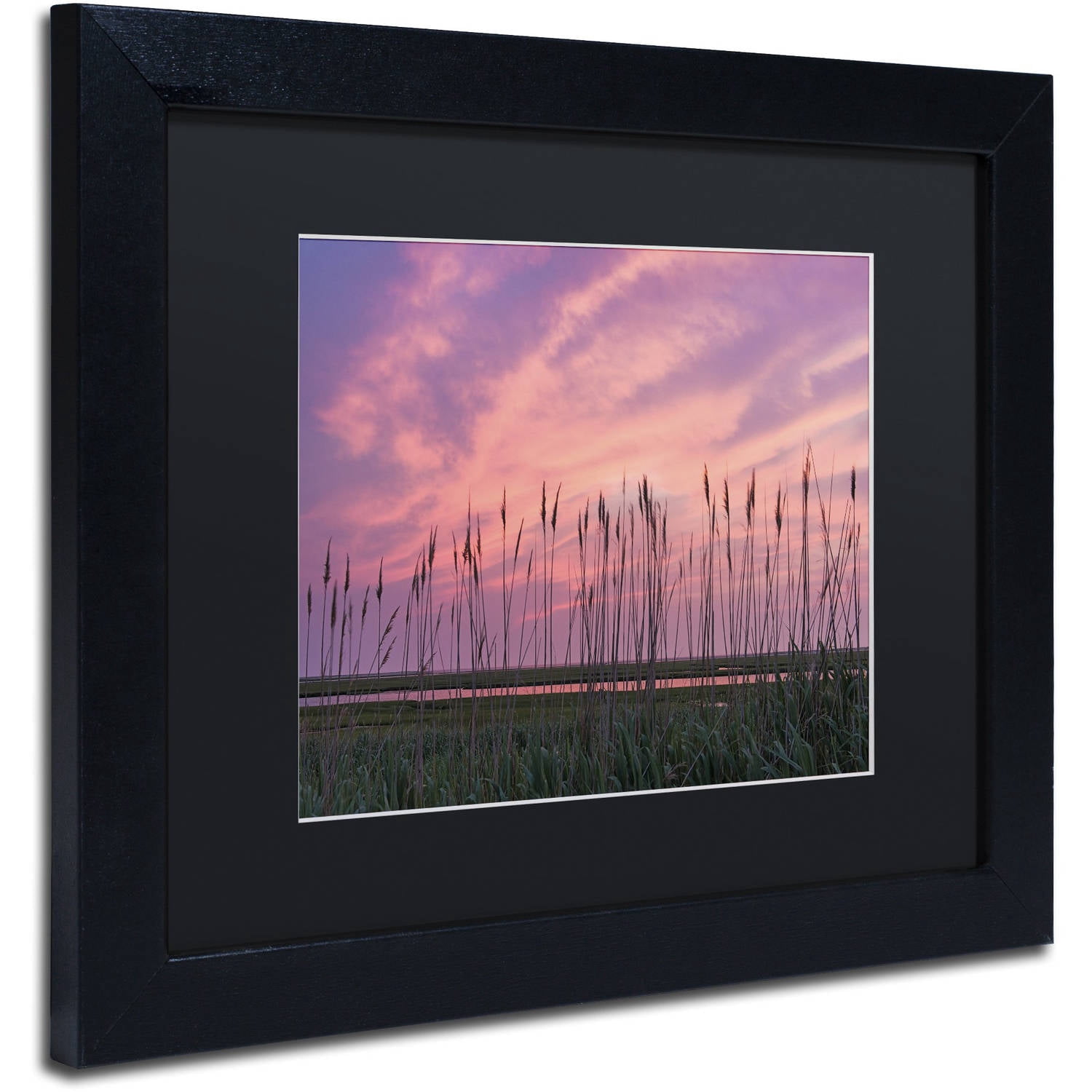 Trademark Fine Art "Marsh Reeds" Canvas Art by Michael Blanchette Photography Black Matte, Black Frame