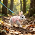 thumbnail image 6 of Rabbit Harness and Leash Set for Outdoor Training Camping Walking, Escape Proof Clothes Bunny Outfits for Rabbits, Kittens, Ferrets, Guinea Pigs (Pink, L), 6 of 8