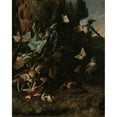 thumbnail image 3 of Melchior d'Hondecoeter 20x24 Black Modern Framed Museum Art Print Titled - Animals and Plants (C. 1668), 3 of 5