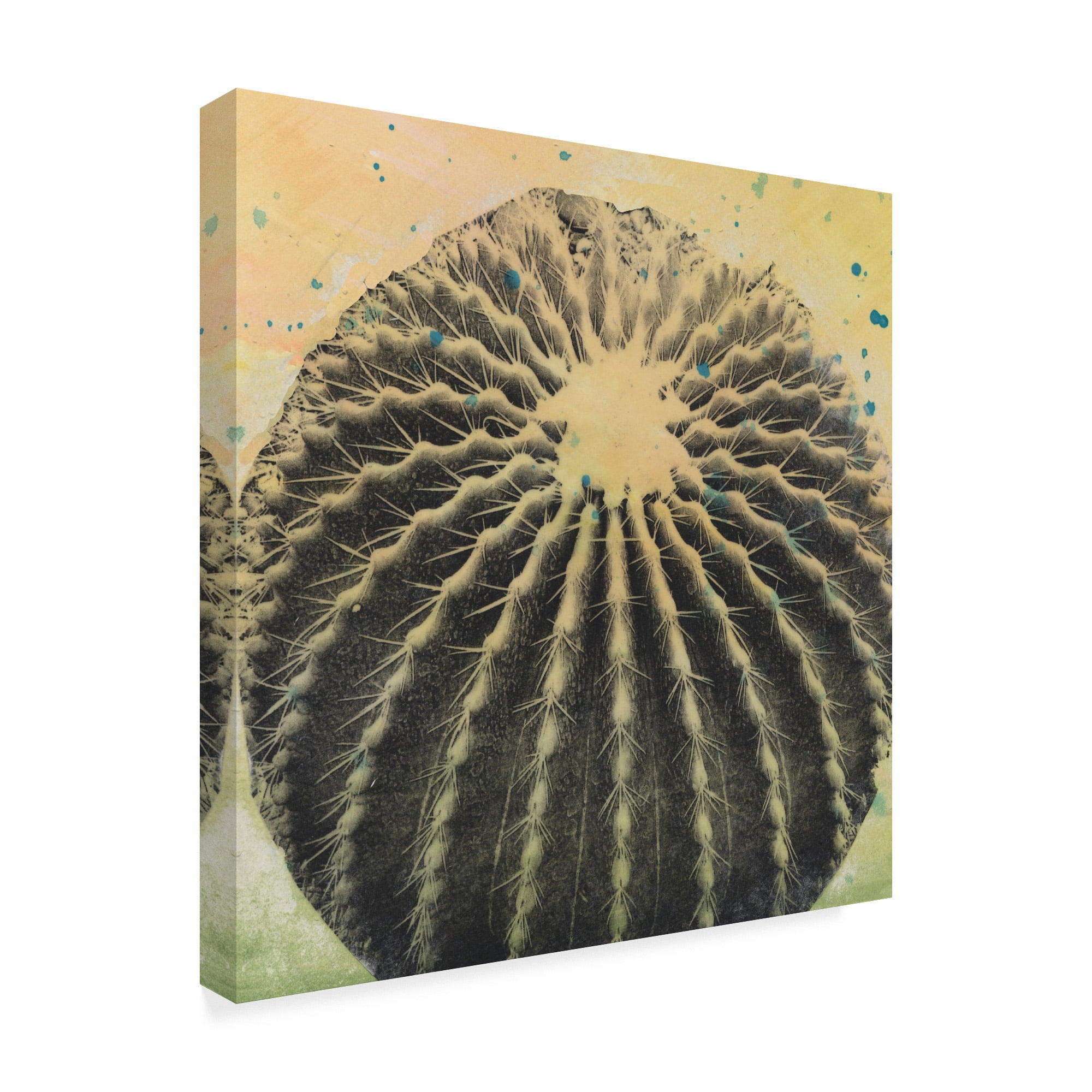 Trademark Fine Art 'Desert Dreams III' Canvas Art by Naomi McCavitt