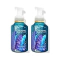 thumbnail image 1 of Jabón de manos Bath & Body Works Wildberry Lemonade 259 ml, paquete de 2, 1 of 1