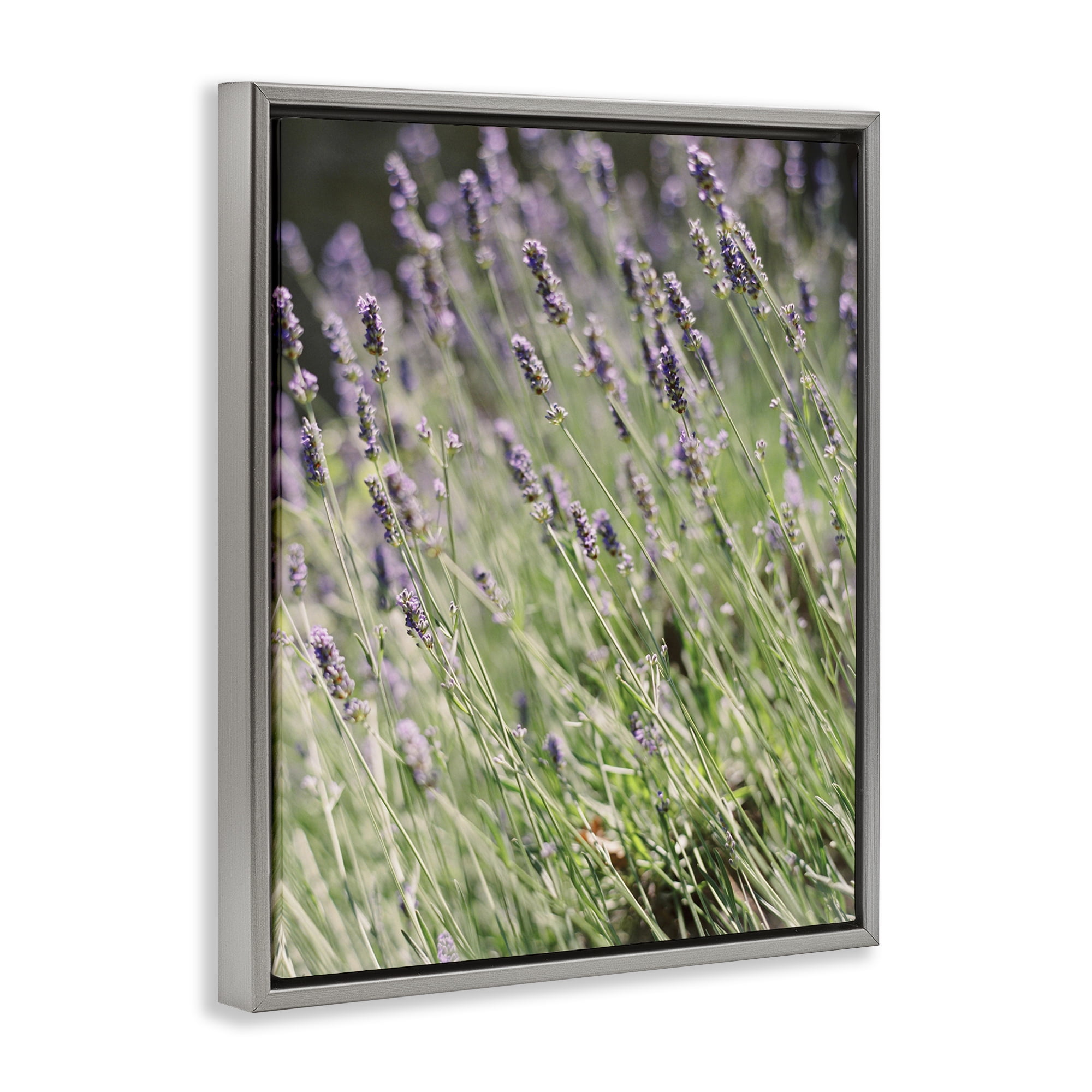Stupell Industries Country Lilac Garden Botanical & Floral Photography Gray Floater Framed Art Print Wall Art, 25 x 31