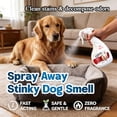 thumbnail image 3 of limpiador enzimático para perros - Pet Enzyme Cleaner, Enzyme Cleaner for Pets, Pet Odor Eliminator and Powerful Probiotic Enzyme Cleaner for Cat Urine, Dog Pee, Pet Messes, 3 of 5