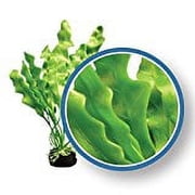 Weco Freshwater Pro Series Amazon Ruffled Sword Premium Plant Weighted Base 9 inch