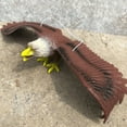 thumbnail image 5 of vlrwzc Simulated Eagle Model Realistic Eagle Figures Wildlife Eagle Statue Bird Figurines Animal Figure Ornament for Home Decor Party Supplies, 5 of 7