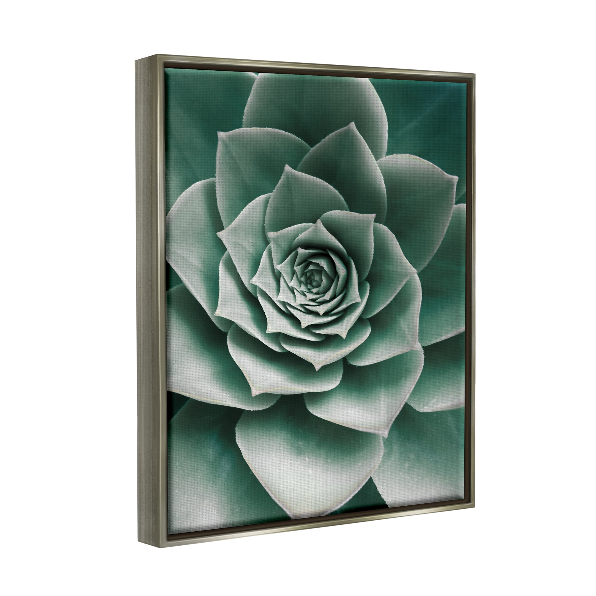 Stupell Industries Green Succulent Photography Botanical & Floral Photography Gray Floater Framed Art Print Wall Art, 25 x 31