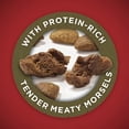 thumbnail image 3 of Purina ONE Dry Dog Food Lamb and Rice Formula - 8 lb. Bag (Pack of 2), 3 of 8