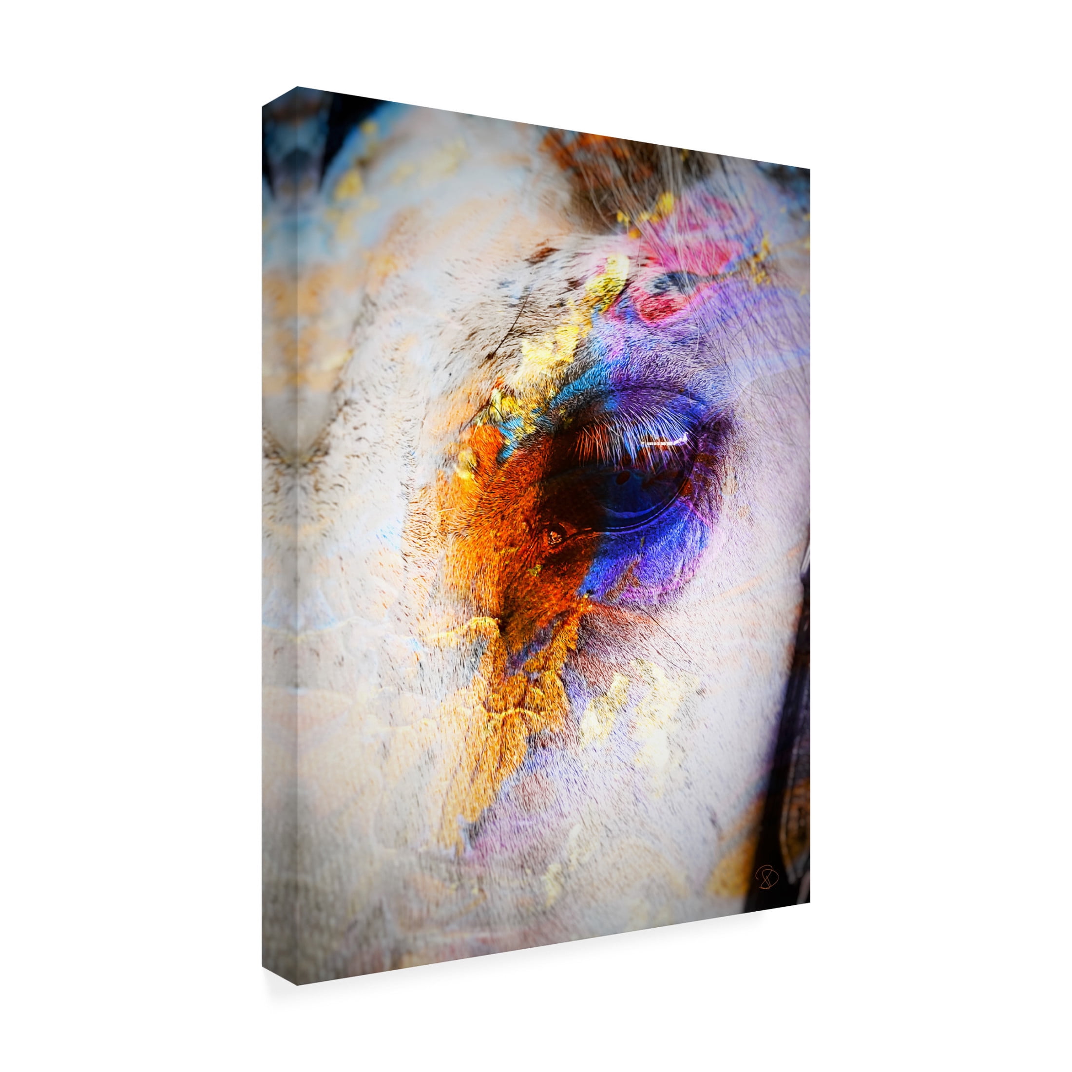 Trademark Fine Art Ruth Day Painted Horse Canvas Wall Art
