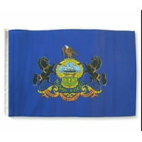 12x18 12"x18" State of Pennsylvania Sleeve Flag Boat Car Garden