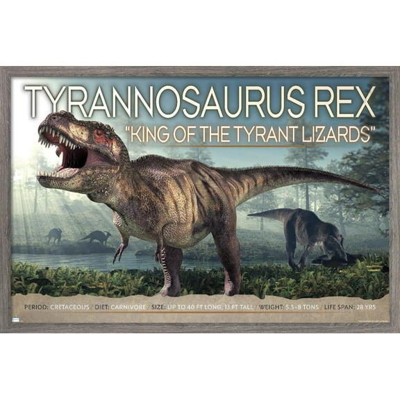 Dinosaurs - T-Rex Wall Poster, 22.375" x 34", Framed